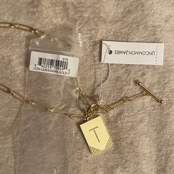 Uncommon James Gold-Plated Necklace - Picture 9 of 9